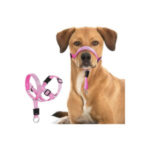 Adjustable Reflective Dog Head Halter for Easier Walks and Reduced Pulling