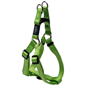 Adjustable Reflective Harness for Large Dogs with Step-In Feature in Green