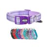 Adjustable Reflective Nylon Dog Collar with Breathable Neoprene Padding Medium Dogs