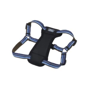 Adjustable Reflective Padded Dog Harness with Neoprene Chest Pad Blue