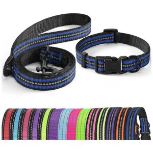 Adjustable Reflective Pet Collar Leash Set for Small and Medium Dogs