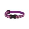 Adjustable Rose Garden Pattern Collar for Small Dogs up to 20 Pounds and 10-16 Neck Size