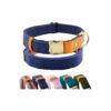 Adjustable Royal Blue Canvas Nylon Dog Collar with D-Ring and Quick-Release Metal Buckle