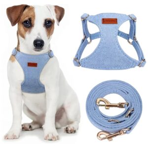 Adjustable Size No Pull Puppy Harness and Leash Set for Small and Medium Dogs