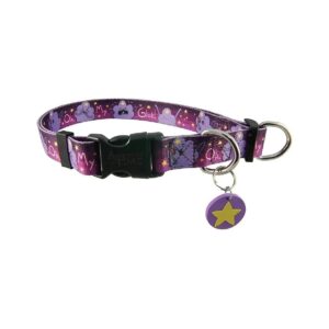 Adjustable Small Dog Collar with Pink and Purple Nylon Webbing and Chrome Hardware