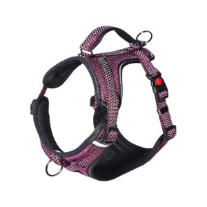 Adjustable Small Dog Harness with Anti Pull Design and Reflective Threads