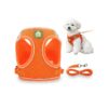 Adjustable Small Dog Harness with Reflective Strip for Easy Outdoor Walking and Control