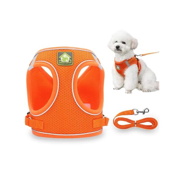 Adjustable Small Dog Harness with Reflective Strip for Easy Outdoor Walking and Control