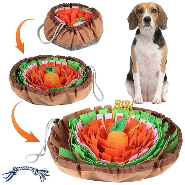 Adjustable Snuffle Mat for Dogs with Different Pattern Options for Mental Stimulation