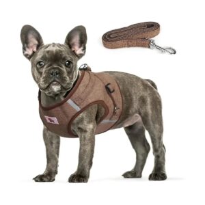 Adjustable Soft Corduroy Dog Harness and Leash Set for Outdoor Walking