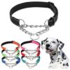 Adjustable Stainless Steel Martingale Dog Collar with Soft Padded Nylon for Balanced Pull