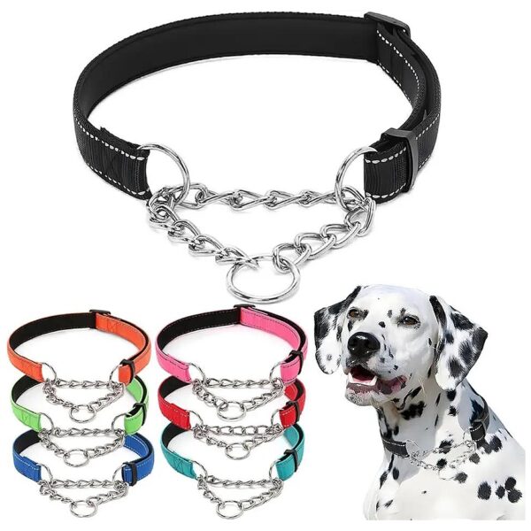 Adjustable Stainless Steel Martingale Dog Collar with Soft Padded Nylon for Balanced Pull