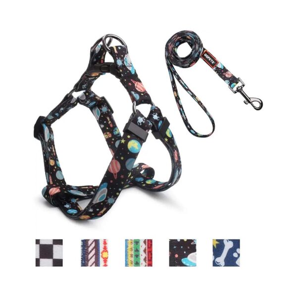 Adjustable Star-Blue Nylon Dog Leash and Harness Set for Small Medium Large Dogs