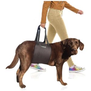 Adjustable Strap Dog Sling Harness for Canine Joint Injuries and Arthritis Rehabilitation