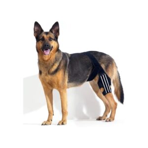 Adjustable Support for Dogs with Knee Injuries and Chronic Pain