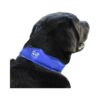 Adjustable Velcro Dog Cooling Collar, Safe Non-Toxic Material, Puncture Resistant