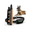 Adjustable Waterproof Dog Training Collar 3 Modes Safe Shock Collar for Small Large Dogs