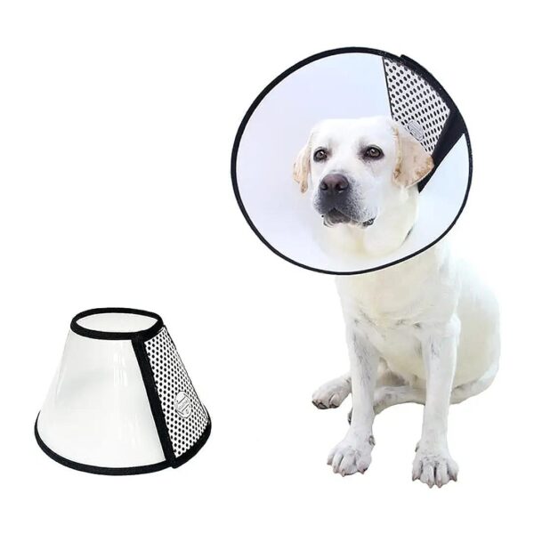 Adjustable and Comfortable Pet Cone Collar for Small to Large Dogs Recovery