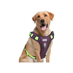 Adjustable and Customizable Dog Harness for Small to Large Dogs with Front Clip