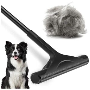 Adjustable and Durable Metal Carpet Rake for Pet Hair Removal