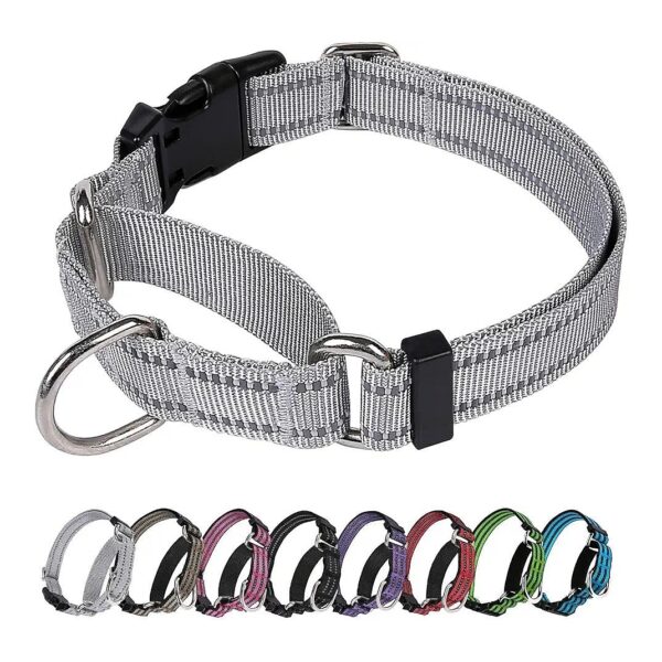 Adjustable and Reflective Martingale Dog Collar for Small, Medium, and Large Breeds