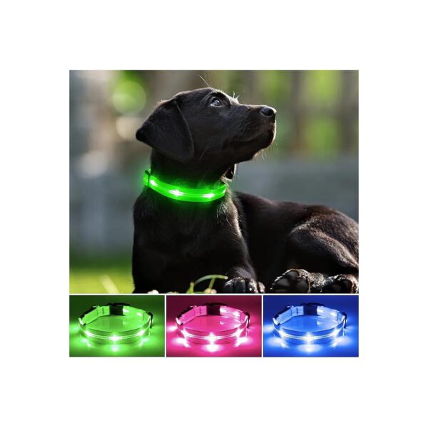 Adjustably Sized Dog Collar with Rechargeable LED Light for Small Medium Large Dogs