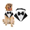 Adorable Dog Wedding Collar with Bow Tie and Adjustable Size for Small to Large Dogs