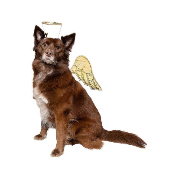 Adorable Golden Angel Pet Wings and Halo Costume for Dogs and Cats