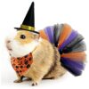 Adorable Guinea Pig Halloween Costume Set Witch Hat Bandana Triangle Scarf for Small Pets