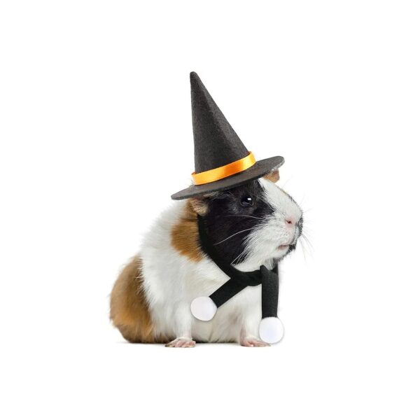 Adorable Witch Head Accessories for Small Animals Halloween Costume