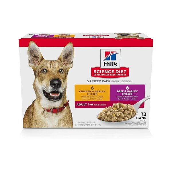 Adult Dog Food Variety Pack Wet Food for Healthy Coat and Skin