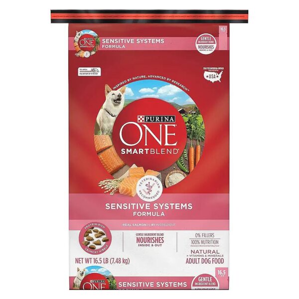 Adult Dog Food with Omega-6 Fatty Acids for Skin and Coat Health