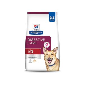 Adult Dog Nutrition for Optimal Gut Health and Digestion