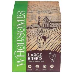 Adult Large Breed Chicken Meal and Rice Formula Dry Dog Food for Balanced Nutrition