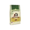 Adult Small Breed Dog Food with Lamb and Rice Ingredients