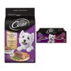 Adult Small Dog Food Variety Pack with Filet Mignon Dry and Beef Wet Food Trays