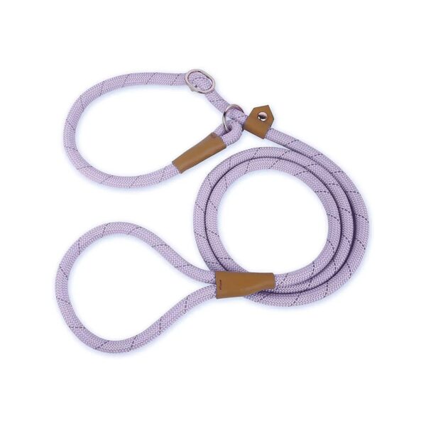 Advanced 6FT Slip Leash for Medium Large Dogs with Strong Pulling Resistance