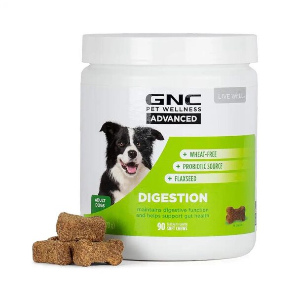 Advanced Digestive Health Supplements for Dogs in Chicken Flavor