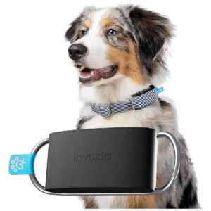 Advanced Dog Health Tracker with GPS Location and Activity Analysis