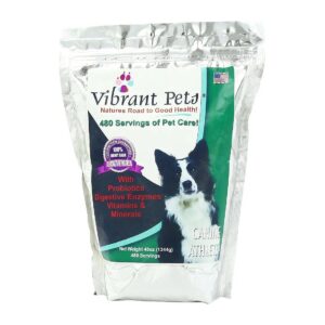 Advanced Dog Nutrition Supplement for Shiny Coats and Youthful Energy