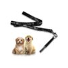 Advanced Dog Training Whistle with Lanyard and Adjustable Frequencies