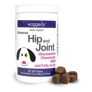 Advanced Glucosamine Chondroitin Joint Supplements for Dogs