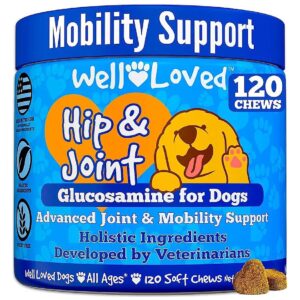 Advanced Glucosamine Dog Joint Supplement for Hip and Joint Pain Relief Made in USA