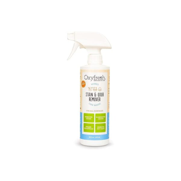 Advanced Odor Eliminating Stain Remover for Pets