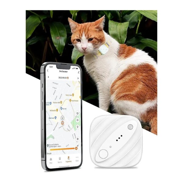 Affordable 4G LTE GPS Tracker for Outdoor Pet Safety and Peace of Mind