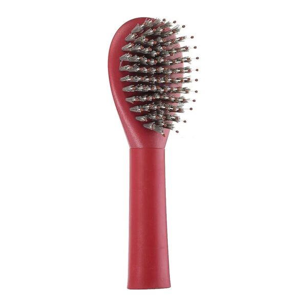 Affordable Large Dog Brush with Nylon Bristle for Short and Long Hair