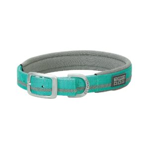 Affordable Neoprene Lined Dog Collar with Reflective Stripe