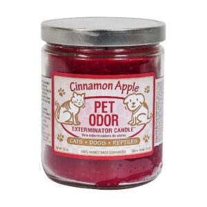 Affordable Pet Odor Elimination Solution Cinnamon Apple Pet Odor Exterminator Candle