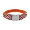 Affordable and Customizable Dog Collar with Adjustable Fit and Multiple Color Options