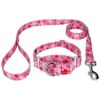 Affordable and Durable Martingale Dog Collar and Leash Set for Large Breed Pups